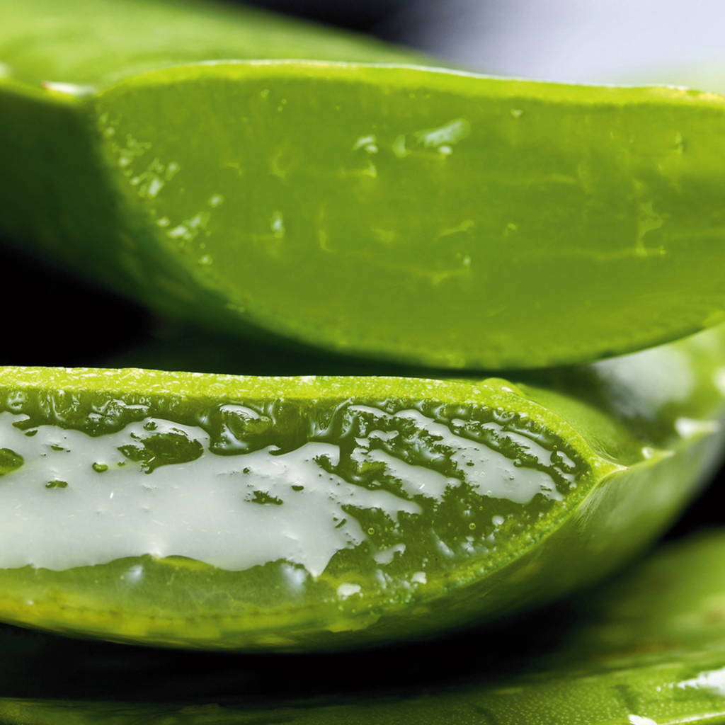 gel d'aloe vera